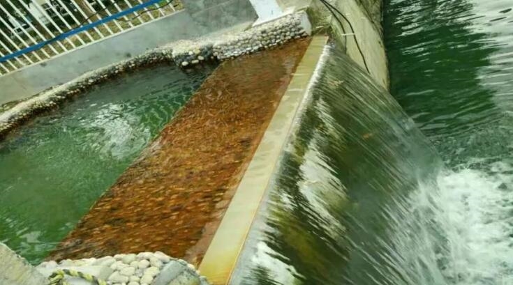 【關(guān)注】使命必達、久久為功——走近中建環(huán)能華東公司