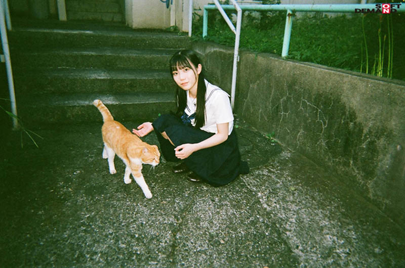 19歲合法蘿莉《望實(shí)香苗》精選作品推薦介紹及封面預(yù)覽